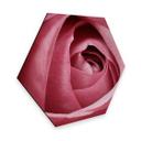 Hexagon - Alu-Dibond - Pink Rose