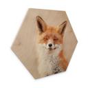 Hexagone - Bois van Duijn - Renard content