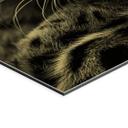 Geborsteld Alu-Dibond met goud-, zilver- & kopereffect - Luipaard met intense blik - MaronPhotography