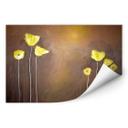 Zelfklevende Poster Melz - Yellow Poppy