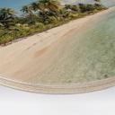 Cuadro de madera palmera playa en los mares del sur - Colombo - Redondo