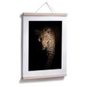 Póster Guijt - El Leopardo