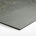 Wanddecoratie varen in nevelwoud in groen - Ms Tiff - Alu-Dibond