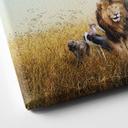 Cuadro lienzo Animales africanos