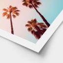 Póster de naturaleza California Dreaming con vista de palmeras - Hugonnard