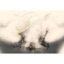 Architects Paper Papier peint photo Atelier 47 Tattoo Personnage