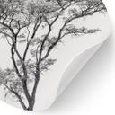 Vinilo decorativo Árbol minimalista en un paisaje tranquilo - Harina - Redondo