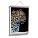 Póster Dambreville - Jaguar curioso
