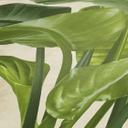 Papel pintado tejido-no tejido Livingwalls Papel pintado Metropolitan Stories palmera Antonio Barcelona crema, verde