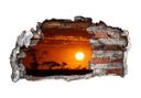 3D Wallsticker afrikansk steppe