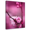 Canvasbillede, Lyserøde blomstrende planter