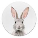 Tableau sur alu-Dibond rond Sisi & Seb - Oreilles de lapin