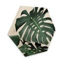 Hexagon Hout Sisi & Seb - Monstera