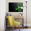 Poster autocollant - W - Bambou sur Fond Noir