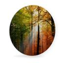 Tableau en alu Dibond - Automne doré - Rond