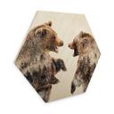 Hexagon Hout Angyalosi - Wild Fight