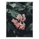 Poster Fleur tropicale