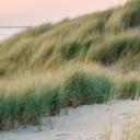 Playa y mar - Dunas en la costa holandesa - Zwart