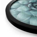 Plakat Agave 02
