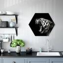 Hexagone - alu-Dibond Meermann - Le tigre