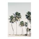 Póster de tela Palmeras tropicales en la playa - Sisi & Seb