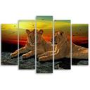 5 stykke lærredsprint, Lion Savannah Africa Nature