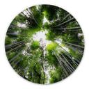 Wandcirkel Japanese Forest