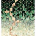 Fototapet - Frederiksson - Nature meet Geometry