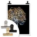Póster Dambreville - Jaguar curioso
