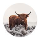 Plakat van den Helm - Highlander