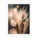 Póster Boho hierbas en luz dorada - Treechild