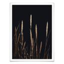Plakat - Kubistika - Golden Feathers