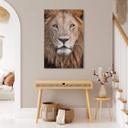 Tableau sur verre van Duijn - Regard du lion