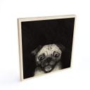 Cuadro de madera Graves - Snuggle Pug - Cuadrado