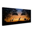 Lienzo Atardecer africano