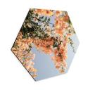 Hexagon Dibond Ferskenblomster i Assos - Shot by Clint