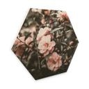Hexagone - Bois Annie - Rosier