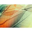 Grøn og orange non-woven tapet Designwalls Limpid Leaf forest