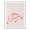 Póster Flamingo 02