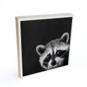 Billede af træ til at sætte op - Graves - Racoon - 15x15 cm