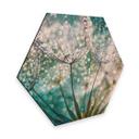 Hexagon - Alu-Dibond - Delgado - Glittery Dandelions