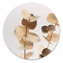 Tableau sur alu-Dibond 1X Studio - Eucalyptus doré - Rond