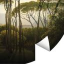 Fotomural de Pinos paraguas con viñetas - redondo - Papel pintado autoadhesivo/no tejido