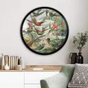 Plakat Haeckel - Hummingbirds