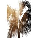 Kubistika - Sol de oro - Fotomural hojas de palmera