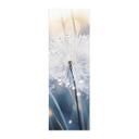 Póster de tela Sparkling dandelions - Treechild - Panorama