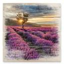 Cuadro de madera flor de lavanda en Provenza - 40x41,5 cm