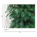 Livingwalls storbyhistorier THE WALL monstera tapet
