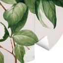 Botanisk fototapet med illustration af en falsk kamelia - Walcott - Round - vliesetapet/selvklæbende