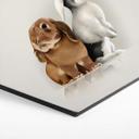 Hexagon Dibond Braun - Bunny Love
